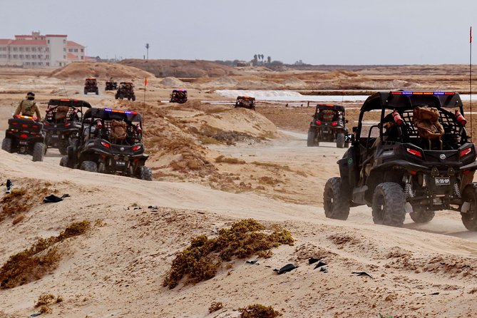 2h SSV Buggy Desert Adventure - 1000cc or 500cc - Should you book this SSV Buggy Desert Adventure?
