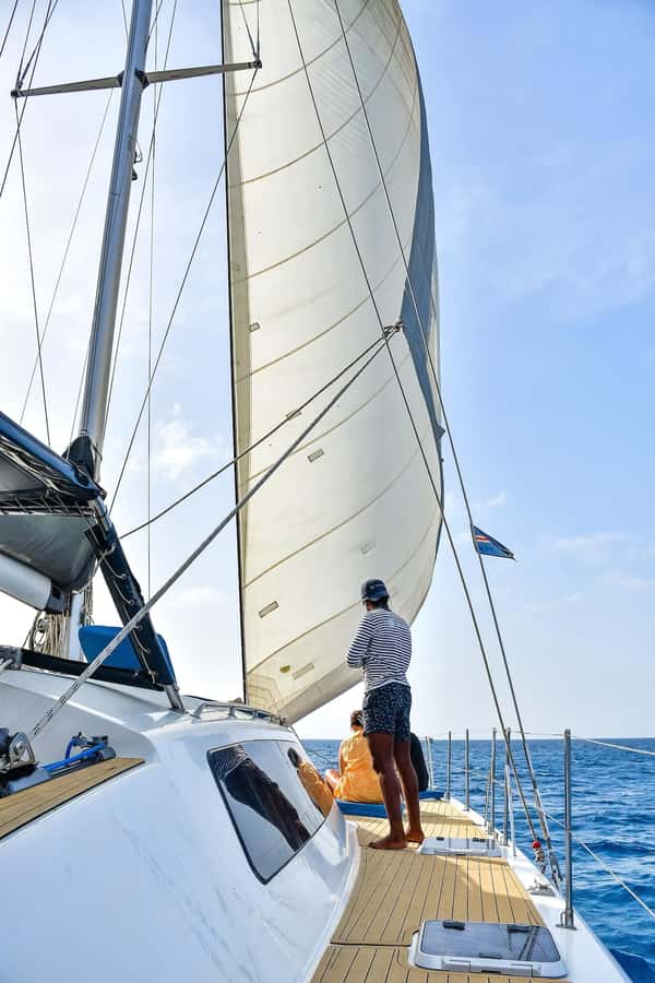3-hour Catamaran Adventure on the waters of Sal Island - Sailing time: views, sea breeze, and the wildlife odds