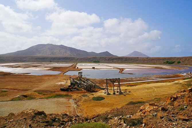 3-Hour Shark Bay and Salt Lakes in Sal Island Guided Tour - Key highlights to know before you go