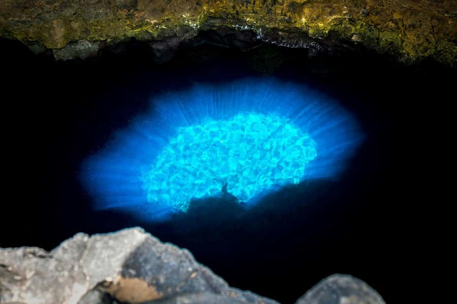 Adults Only Tour of Sal with Lobster Lunch and Salt Lake - Pedra de Lume salt lake float, crater-tunnel access, and what to wear