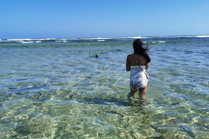 All inclusive full-Day Tour in Sal Island (Lunch and all fees included) - Pedra de Lume beach and the late-day shark spotting area