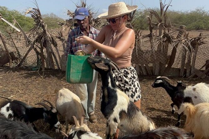 ALL-INCLUSSIVE Cabrer Journey-Live a day like a Cabrer-BoaVista - Village Tour and Stories With A Local Family