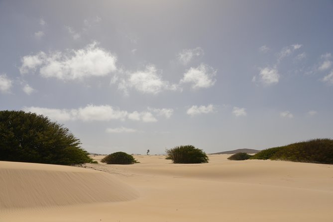 Big Boa Vista Exclusive Tour - Morro d’Areia dunes and sandboarding: the included “adventure part”