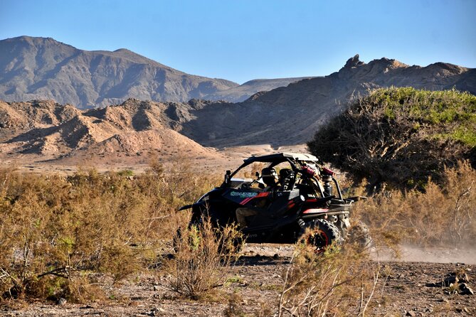 Boa Vista 2h Buggy Death Valley Adventure 1000cc - Quick highlights you should know