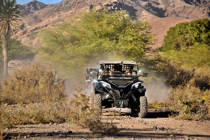 Boa Vista 2h Buggy Death Valley Adventure 1000cc - Fonte Vicente and the Baobab Tree stop