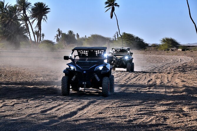Boa Vista 2h Buggy Death Valley Adventure 1000cc - 1000cc power and the real talk about speed