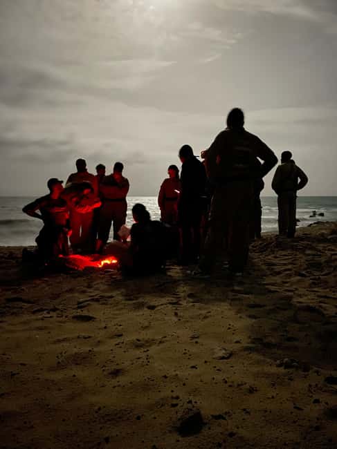 Boa Vista: 3h Turtle Watching Expedition - The guide’s eco rules, and why they matter for sightings