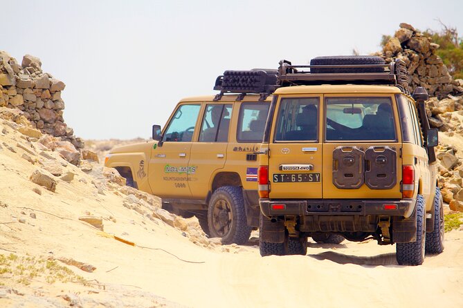 Boa Vista: 4h North Jeep Expedition Off-Road - Ponta do Sol panorama point, where good weather matters