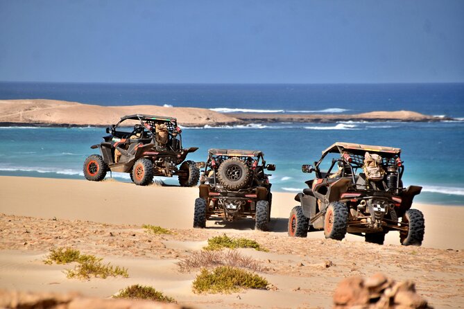 Boa Vista 4h South Buggy Adventure 1000cc - Key highlights at a glance