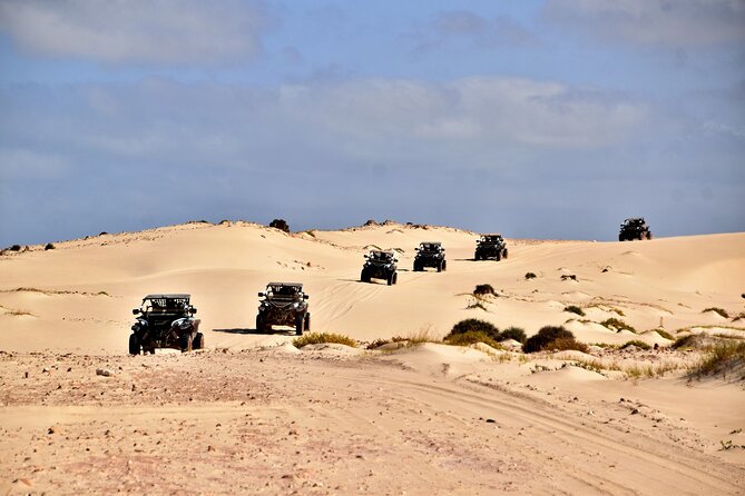 Boa Vista 4h South Buggy Adventure 1000cc - From Sal Rei Pickup to No Limits Adventure: What Happens First