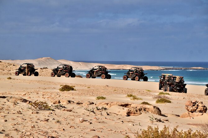 Boa Vista 4h South Buggy Adventure 1000cc - Driving Impressions: How the Sand and Coast Tracks Shape Your 4 Hours