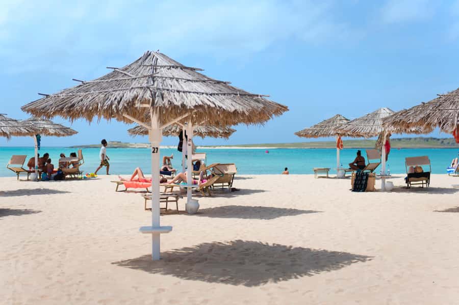 Boa Vista: Beautiful Beaches, Turtles & Djeu Island Snorkel - Shark Bay and Turtle Bay: what you can realistically expect