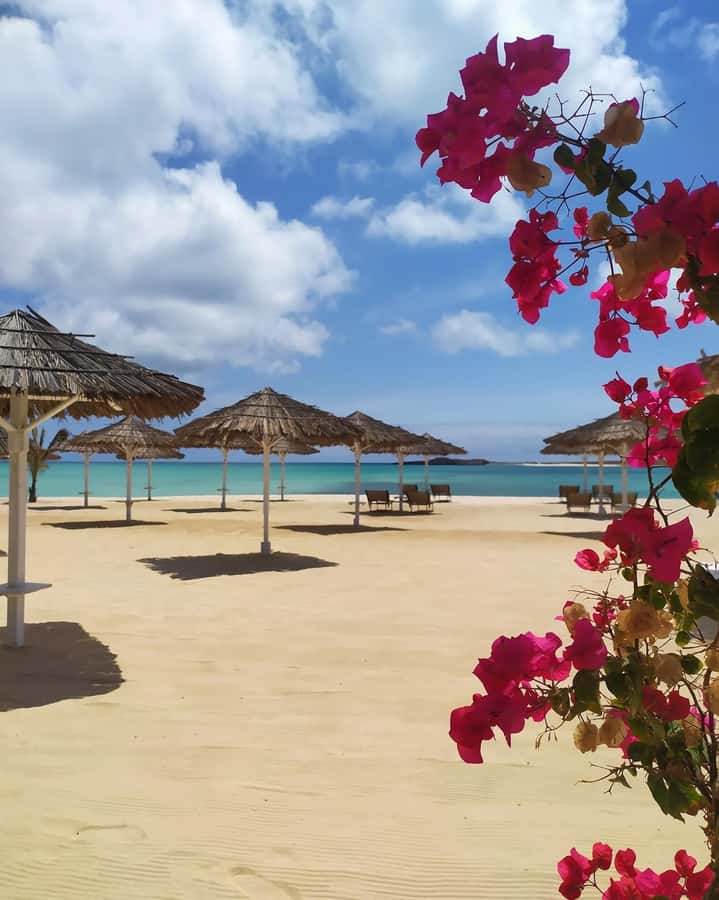 Boa Vista: Beautiful Beaches, Turtles & Djeu Island Snorkel - Lunch at the beach bar, and why skipping it can be smart