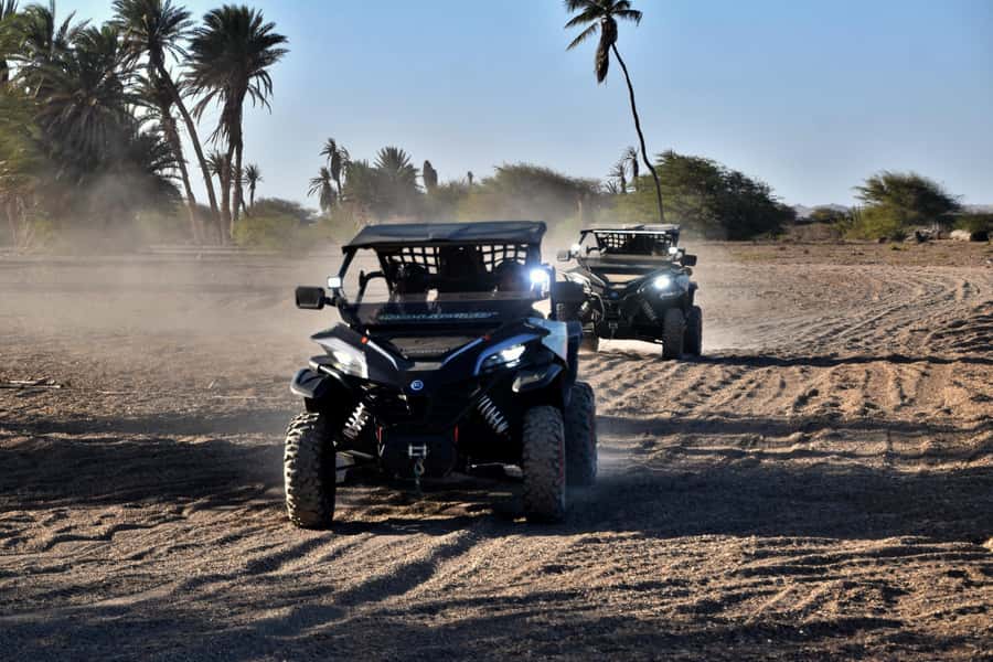 Boa Vista Buggy Tour: Death Valley Adventure (2-Hour) - Crossing the Capeverdean Death Valley and the oasis break