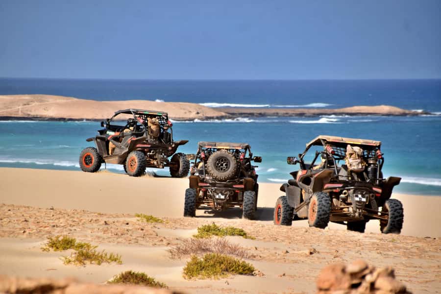 Boa Vista Buggy Tour: Santa Monica & South Desert (4-Hour) - Price and value: what $293 per group up to 2 really buys