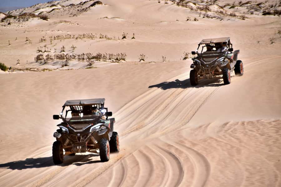 Boa Vista Buggy Tour: Santa Monica & South Desert (4-Hour) - Praia de Chaves and the Chaminé chimney: a stop with real local meaning