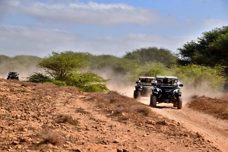 Boa Vista Buggy Tour: Santa Monica & South Desert (4-Hour) - Organization and guide style: why this tour often feels smooth