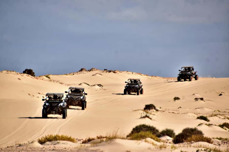Boa Vista Buggy Tour: Santa Monica & South Desert (4-Hour) - Who should book this Santa Monica and South Desert buggy tour