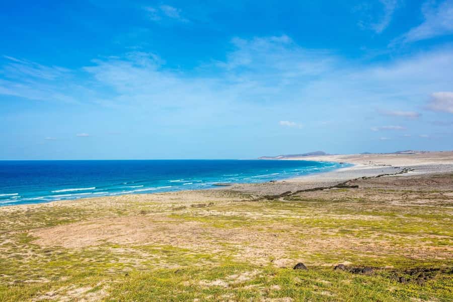 Boa Vista Full Day 4x4 Island Tour with Beachfront Lunch - Santa Monica Beach Finale: 15 km of White Sand