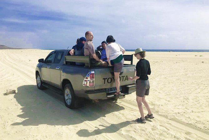 Boa Vista Island: 4-Hour Rabil, Viana Desert & Shipwreck Tour - Timing, group size, and what 3 to 4 hours really feels like