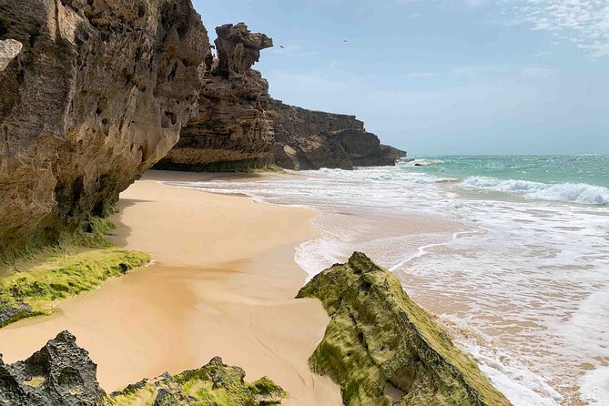 Boa Vista Island: Full Day North to South Discovery - Key Highlights You Will Care About