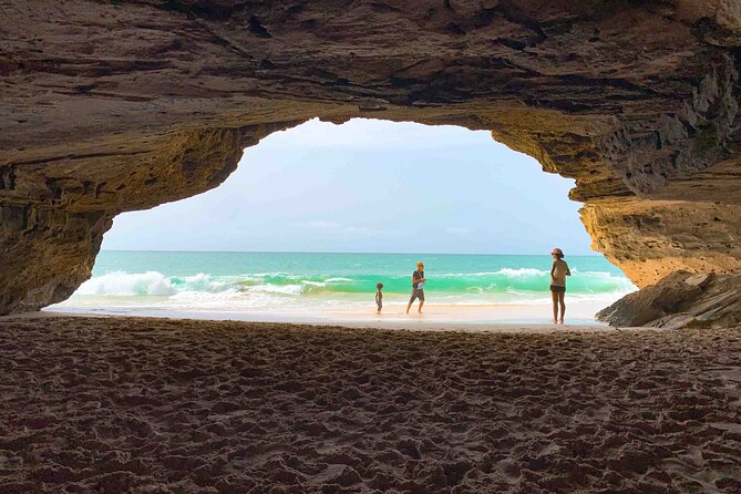 Boa Vista Island: Full Day North to South Discovery - A One-Day North-to-South Taste of Boa Vista