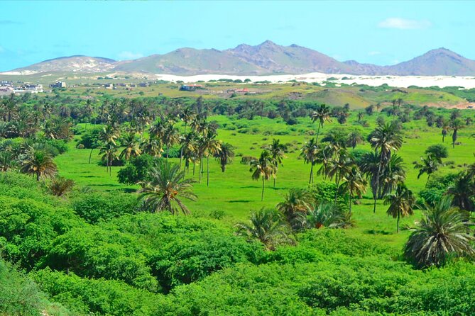 Boa Vista Island: Full-Day Wild Beaches & Viana Desert Experience - Fundo das Figueiras: a lunch-style break built around farming and pastoral life