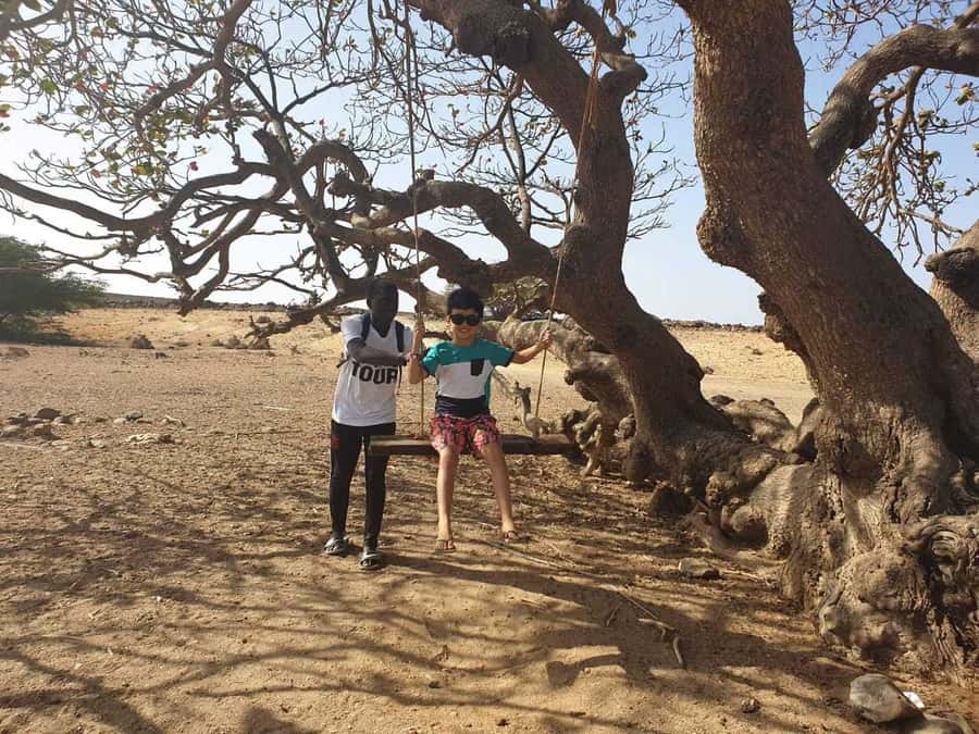Boa Vista Island: Full-Day Wild Beaches & Viana Desert Tour - Fonte Vicente Oasis: Fruit Trees, Birds, and Quiet Nature