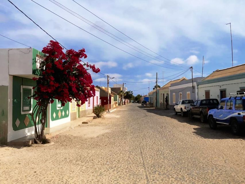 Boa Vista Island: Guided Santa Monica Beach & Caves Tour - Morro de Areia reserve area and Chaves Beach for ocean views