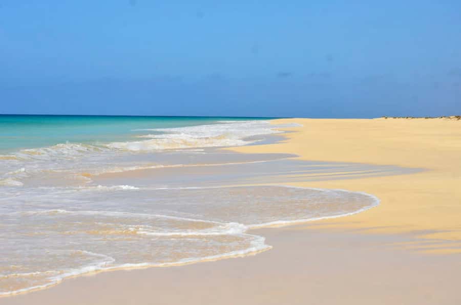 Boa Vista Island: Guided Santa Monica Beach & Caves Tour - Price and value: is $53 a good deal for this much variety?