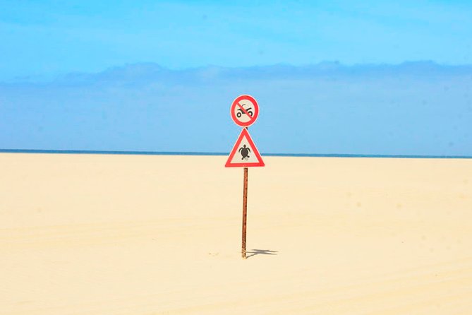 Boa Vista Island: Half-day Northern Tour + Viana Desert Adventure - Praia da Atalanta and Fatima Church Views