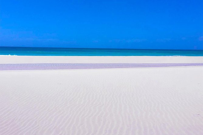 Boa Vista Island: Half-day Tour + Santa Monica Beach by 4x4 - A small-group 4x4 route that covers the south and coast