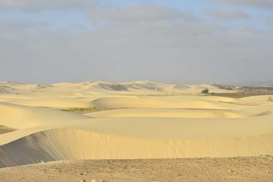 Boa Vista Island: Northwest & Deserto de Viana 4x4 Adventure - Key highlights I’d prioritize