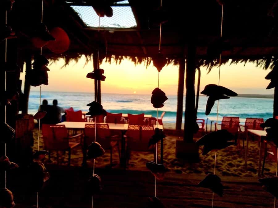 Boa Vista: Lobster Lunch at Santa Monica Beach - Santa Monica Beach lobster, with a proper local setup