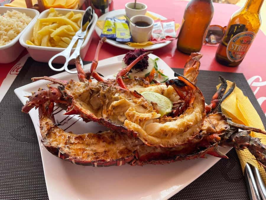 Boa Vista: Lobster Lunch at Santa Monica Beach - Your schedule: hotel pickup to beach lunch and back