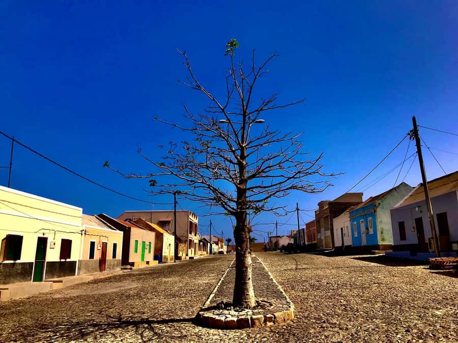 Boa Vista: Santa Monica, Dunes, Caves and Village 4x4 Tour - Value check: is $76 per person worth it on Boa Vista?