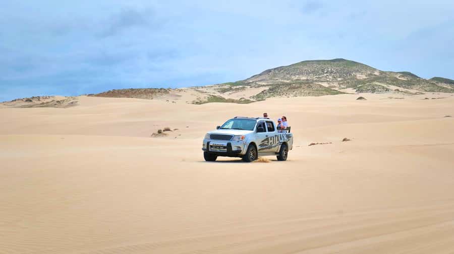 Boa Vista: Shark, Turtles, Cave, Sandboarding & Tasting Tour - Key things I’d pencil in