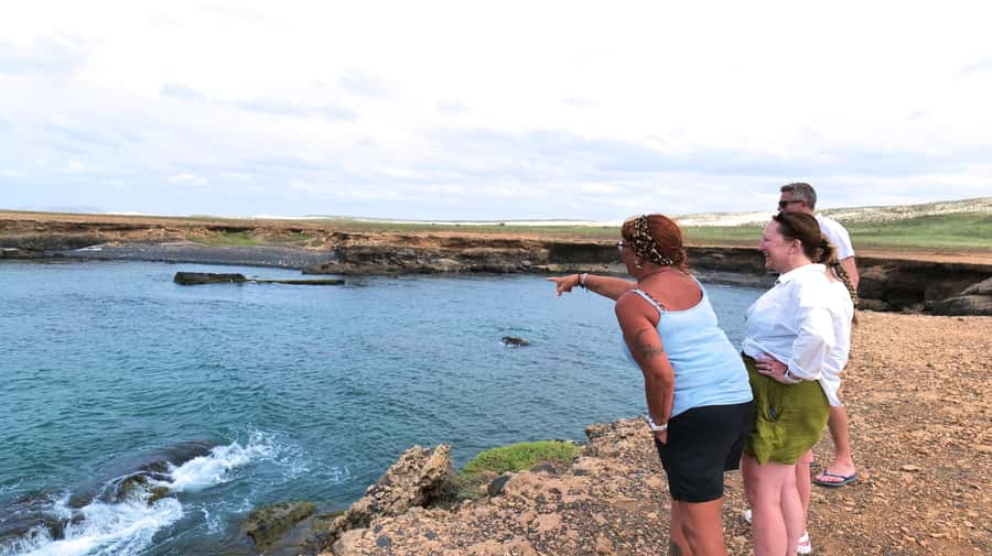 Boa Vista: Shark, Turtles, Cave, Sandboarding & Tasting Tour - Shark Bay and the Lemon Shark Nursery: Realistic Expectations