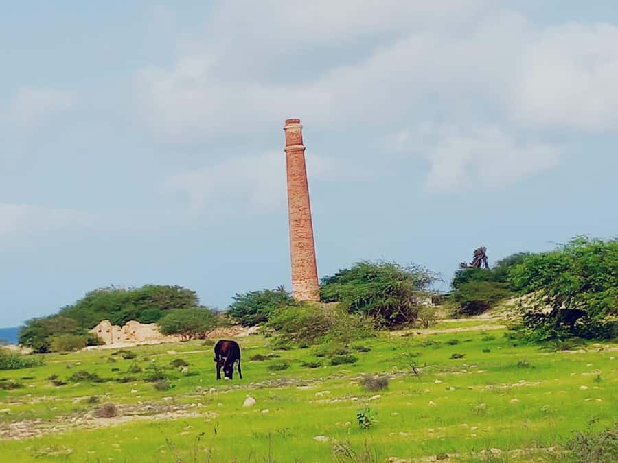 Boa Vista: Shipwreck, 4x4 Ride & Caves Day Tour with Lunch - Who This Tour Suits, and Who Should Rethink It