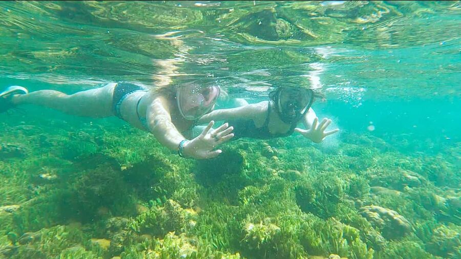 Boa Vista: Snorkeling at Gatas Bay & North East Tour - Key Points I Think You’ll Care About