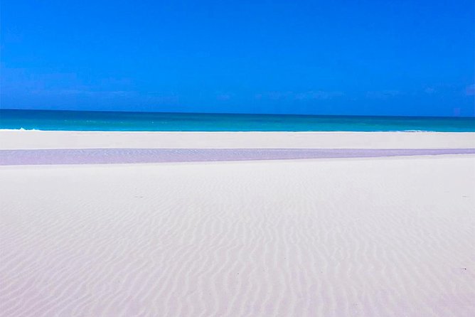 Boa Vista Tour: Santa Mónica, Desert & Shipwreck - Price and value: what $91.89 covers, and how to think about lunch