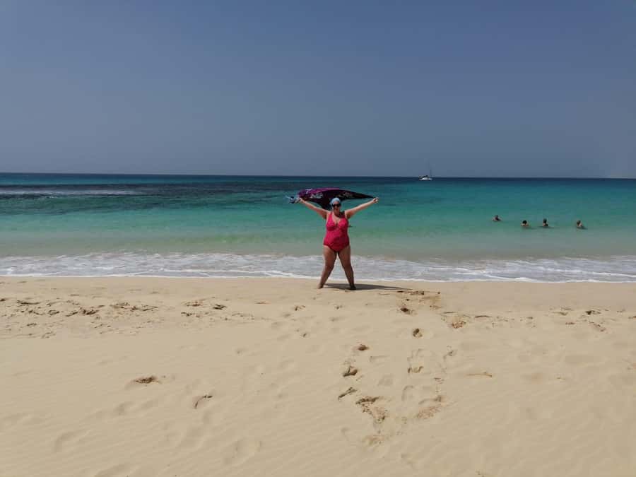 Boa Vista: Turtles, Sharks, City of Sal Rei, Santa Monica Beach, Shipwreck ... - Key highlights that make this day worth it