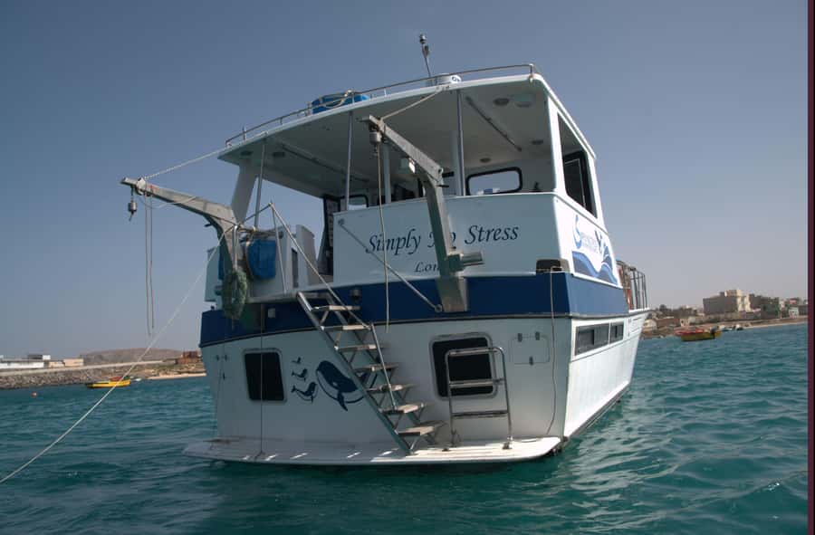 Boa Vista: Whale Watching Trip with Motoryacht - Final call: should you book this Boa Vista whale watching trip?