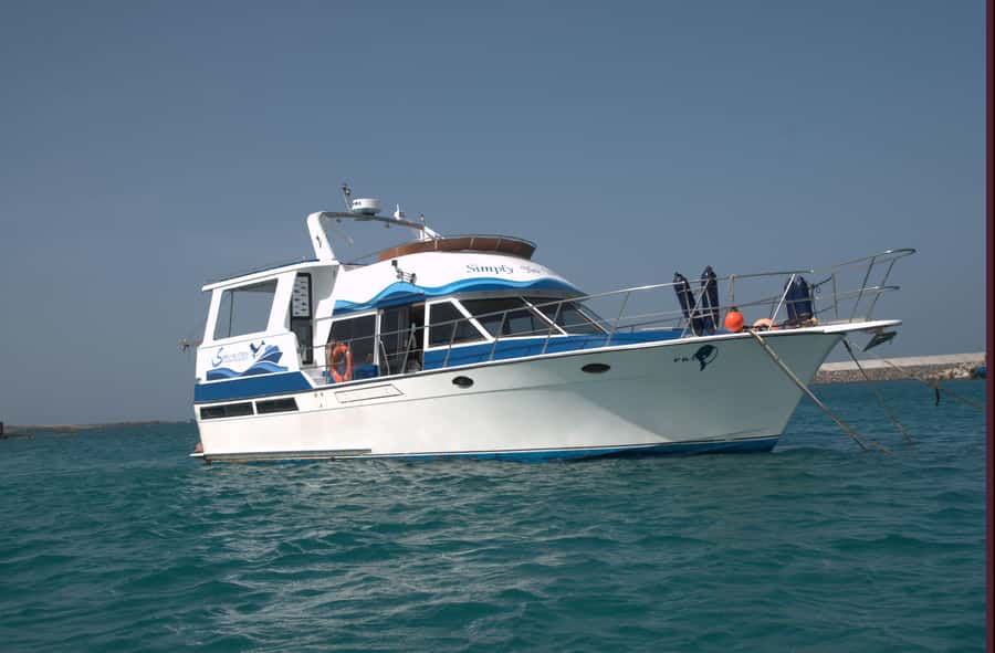 Boa Vista: Whale Watching Trip with Motoryacht - Comfort on a boat: what to bring, and how to handle the motion