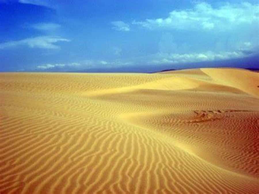 Boavista: 4h Shipwreck, Desert, Fatima Chapel & Pottery Tour - Key highlights I would center in your decision
