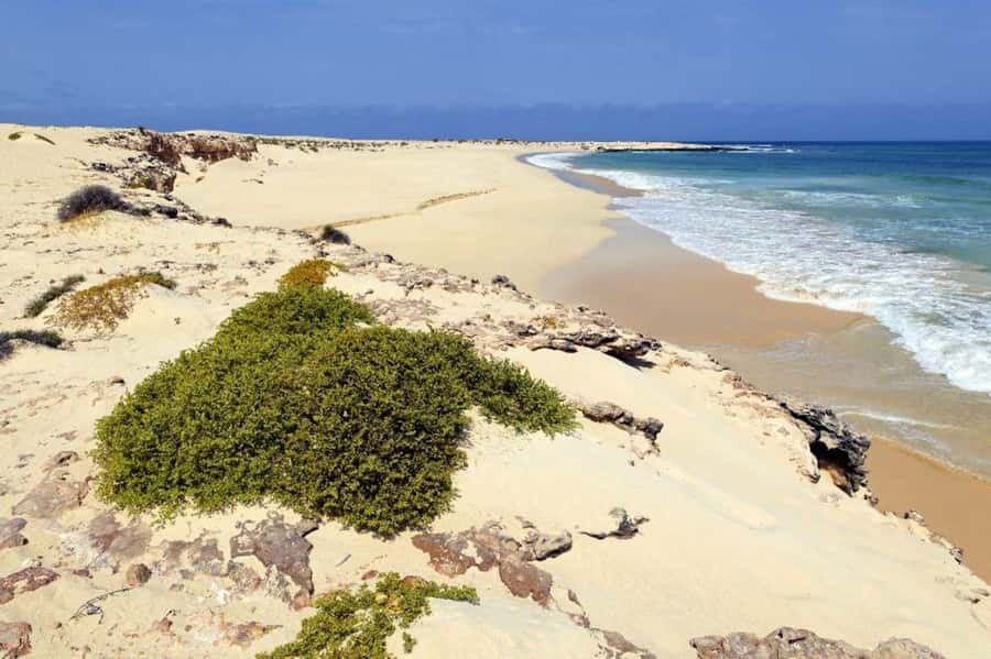 Boavista: 4h Shipwreck, Desert, Fatima Chapel & Pottery Tour - Rabil pottery village, where clay is the point