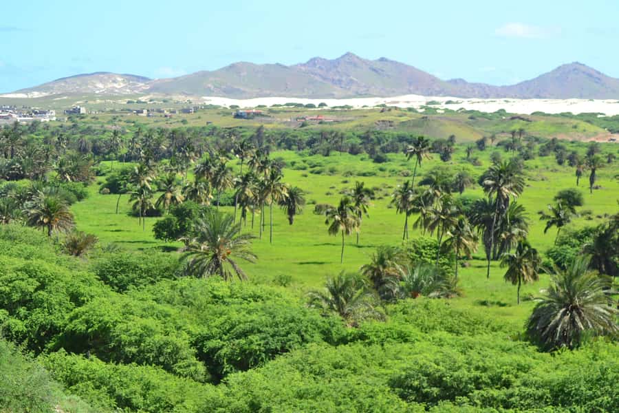 Boavista: Rabil, Shipwreck, City, Snacks & Drinks - 4x4 Tour - Rabil Pottery School: Clay, Community, and Real Craft