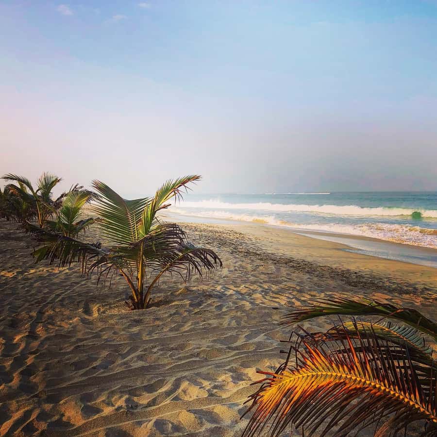 Boavista: Santa Monica beach, Varandinha cave, Sand dunes - Should You Book This Tour or Plan Something Else?