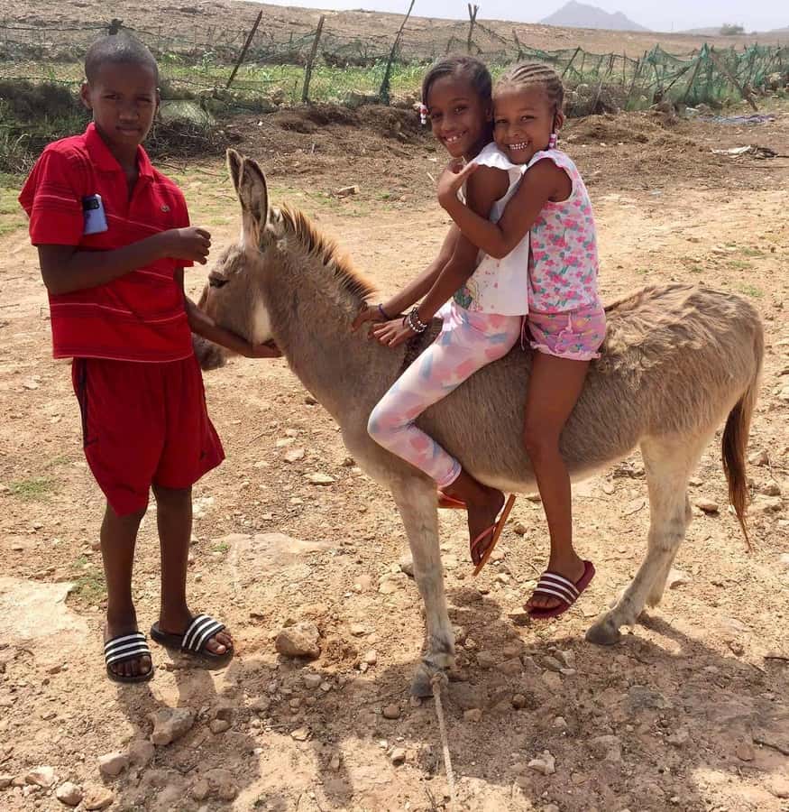 Boavista: Traditional & Local Experience Tour - From pickup to the road tracks: how this 4x4 day really runs