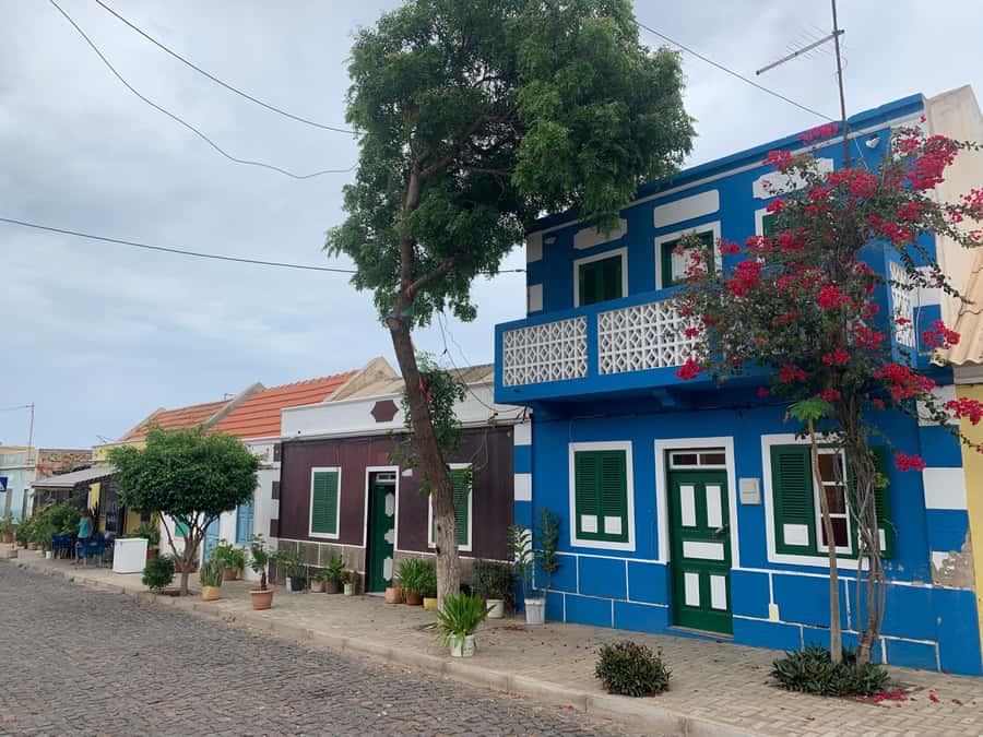 Boavista: Traditional & Local Experience Tour - Bofareira’s Farm: animals, farm routines, and real conversation fuel